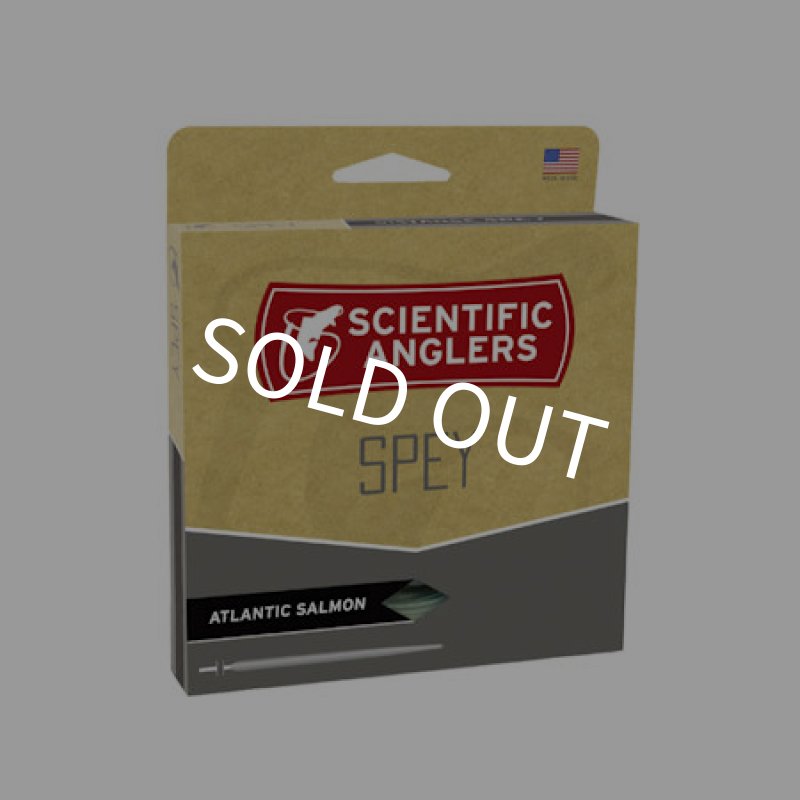 画像1: 【SA】アトランティックサーモン シューティングヘッド (1)
