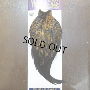 画像1: 【WHITING】American Rooster Cape - UNIQUE VARIANT