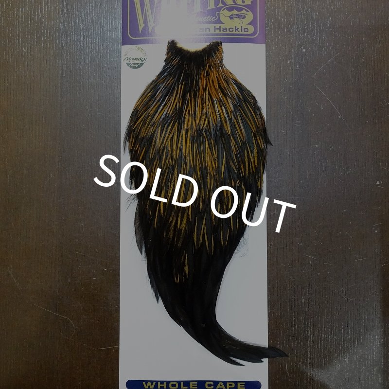 画像1: 【WHITING】American Rooster Cape - UNIQUE VARIANT (1)