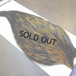 画像4: 【WHITING】American Rooster Cape - UNIQUE VARIANT