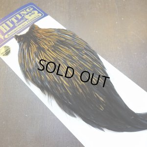 画像2: 【WHITING】American Rooster Cape - UNIQUE VARIANT