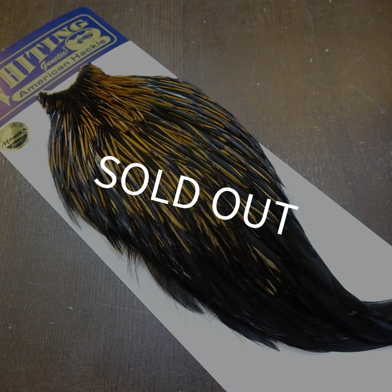 画像2: 【WHITING】American Rooster Cape - UNIQUE VARIANT (2)