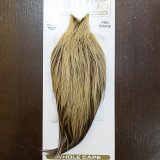 WHITING（ホワイティング）フライタイイングマテリアル｜ケープ