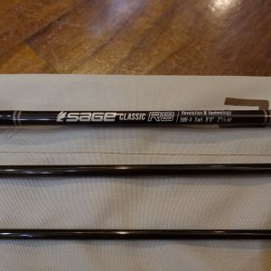 画像2: 【SAGE】CLASSIC R8 586-4