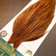 画像3: 【WHITING】Hebert ROOSTER CAPE Bronze Grade - BARRED DARK GINGER (3)