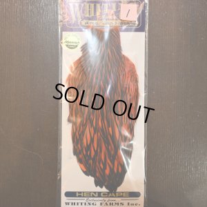 画像1: 【WHITING】American Hen Cape BLW/ORANGE