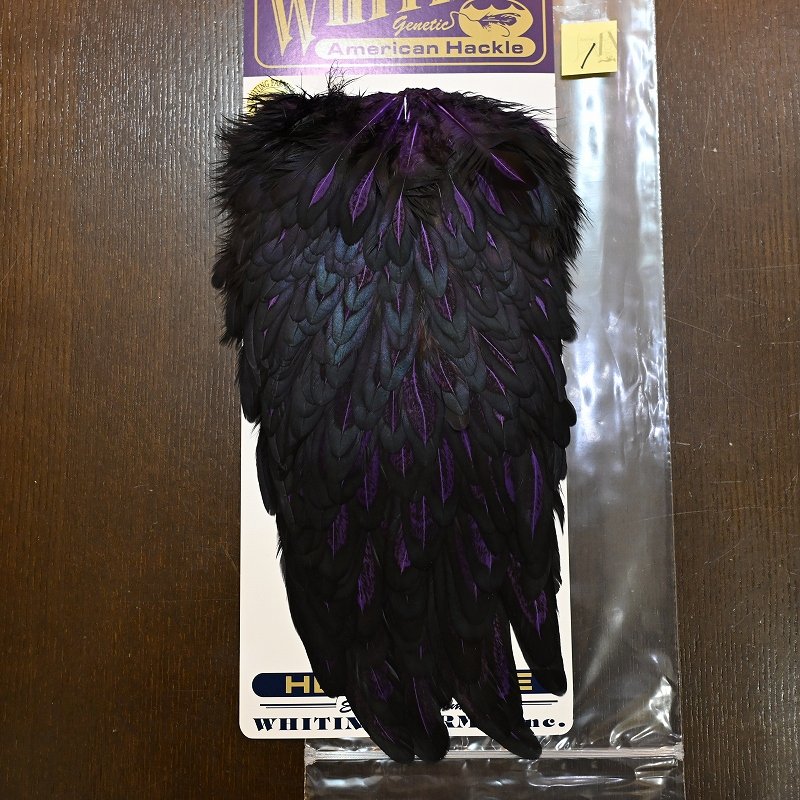 画像1: 【WHITING】American Hen Saddle BLW/PURPLE (1)