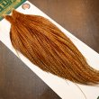 画像2: 【WHITING】Hebert ROOSTER CAPE Bronze Grade - BARRED DARK GINGER (2)