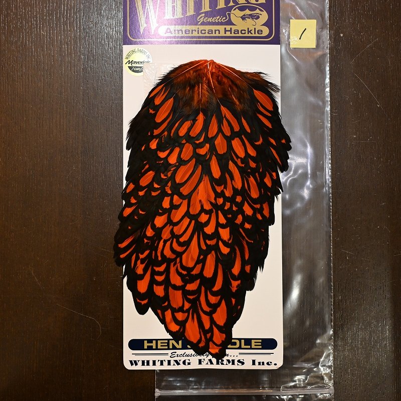 画像1: 【WHITING】American Hen Saddle BLW/ORANGE (1)