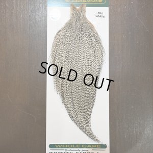 画像1: 【WHITING】Hebert ROOSTER CAPE PRO Grade - Grizzly No.2