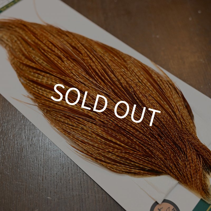 画像4: 【WHITING】Hebert ROOSTER CAPE Bronze Grade - BARRED DARK GINGER (4)