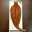 画像1: 【WHITING】Hebert ROOSTER CAPE Bronze Grade - BARRED DARK GINGER (1)