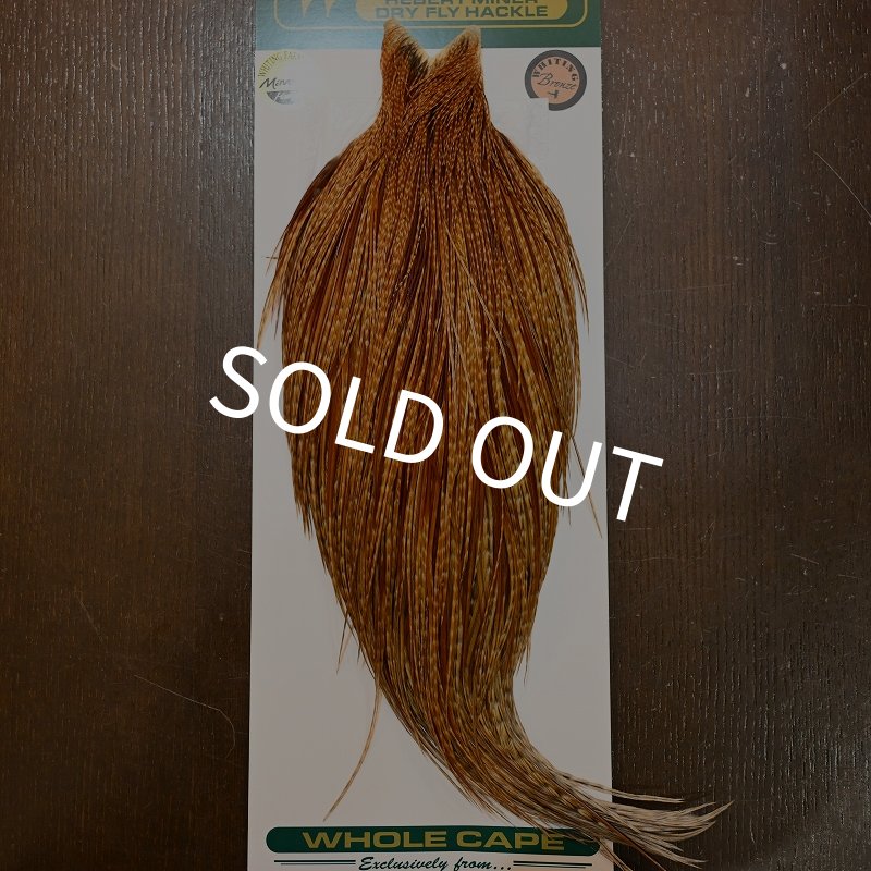 画像1: 【WHITING】Hebert ROOSTER CAPE Bronze Grade - BARRED DARK GINGER (1)