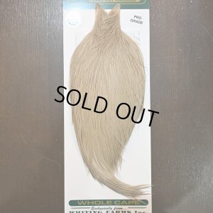 画像1: 【WHITING】Hebert ROOSTER CAPE Pro Grade - light tan dun