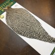 画像2: 【WHITING】Hebert ROOSTER CAPE PRO Grade - Grizzly No.1 (2)
