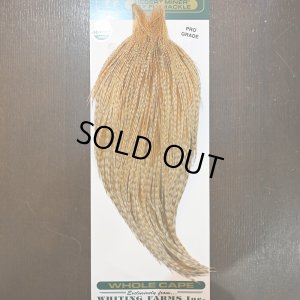画像1: 【WHITING】Hebert ROOSTER CAPE Pro Grade - BARRED Medium Ginger No.2