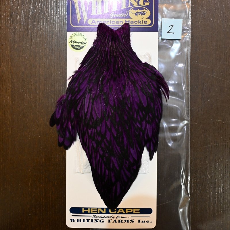 画像2: 【WHITING】American Hen Cape BLW/Purple (2)