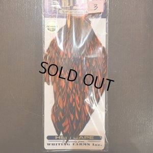 画像3: 【WHITING】American Hen Cape BLW/ORANGE