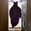 画像1: 【WHITING】American Hen Cape BLW/Purple (1)