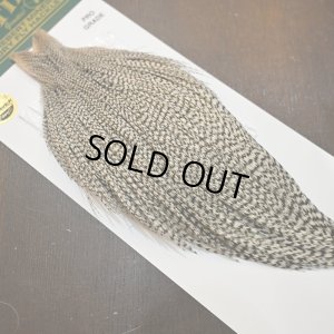 画像2: 【WHITING】Hebert ROOSTER CAPE PRO Grade - Grizzly No.2