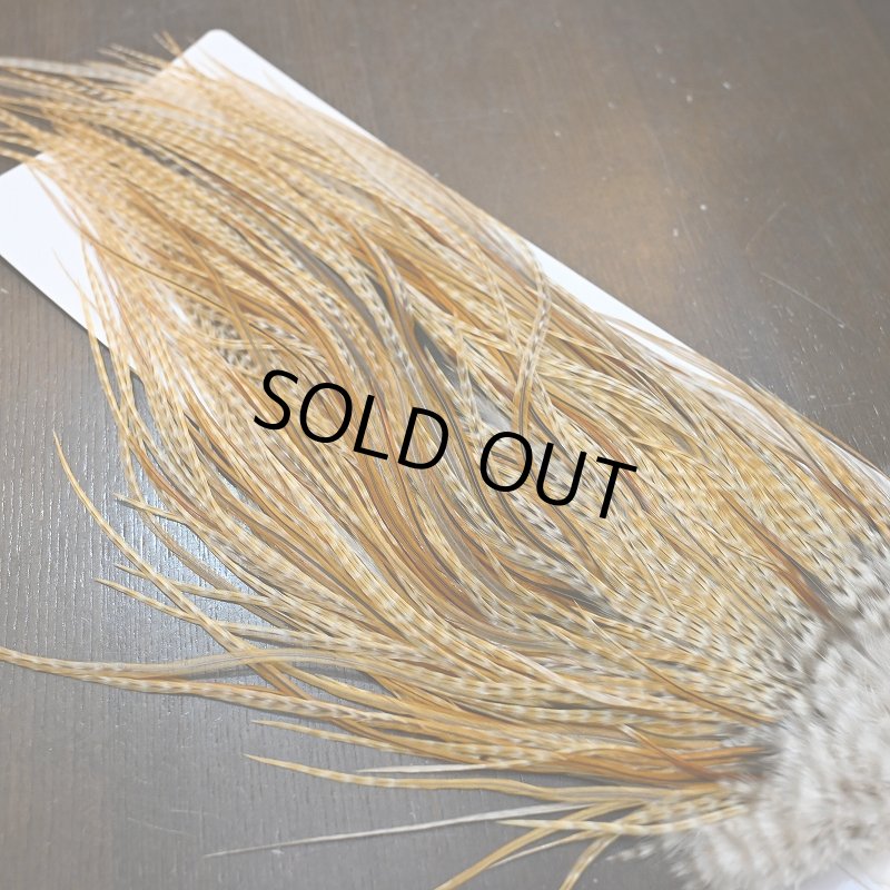 画像4: 【WHITING】Hebert Pro Grade Rooster Saddle - Barred Medium Ginger (4)