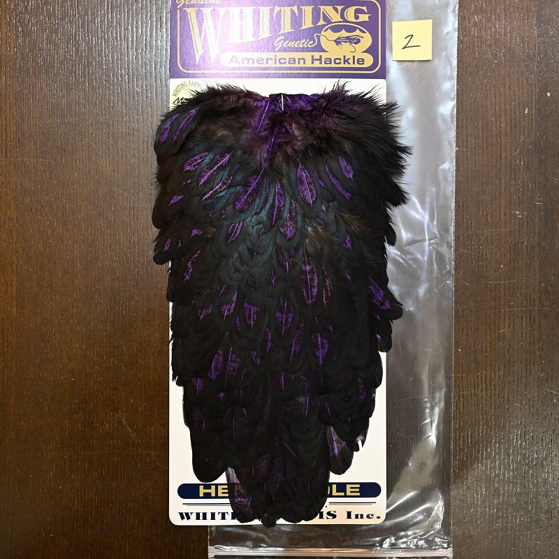 画像2: 【WHITING】American Hen Saddle BLW/PURPLE (2)