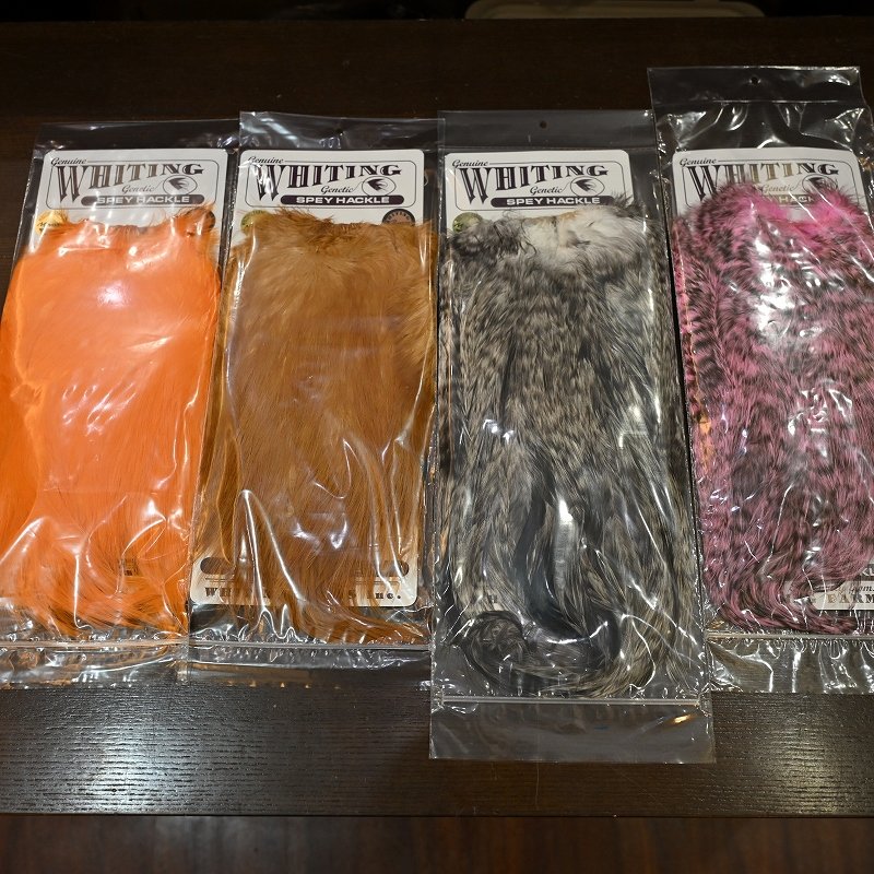 画像5: 【WHITING】 Spey Hackle Saddle BRONZE GRADE (5)