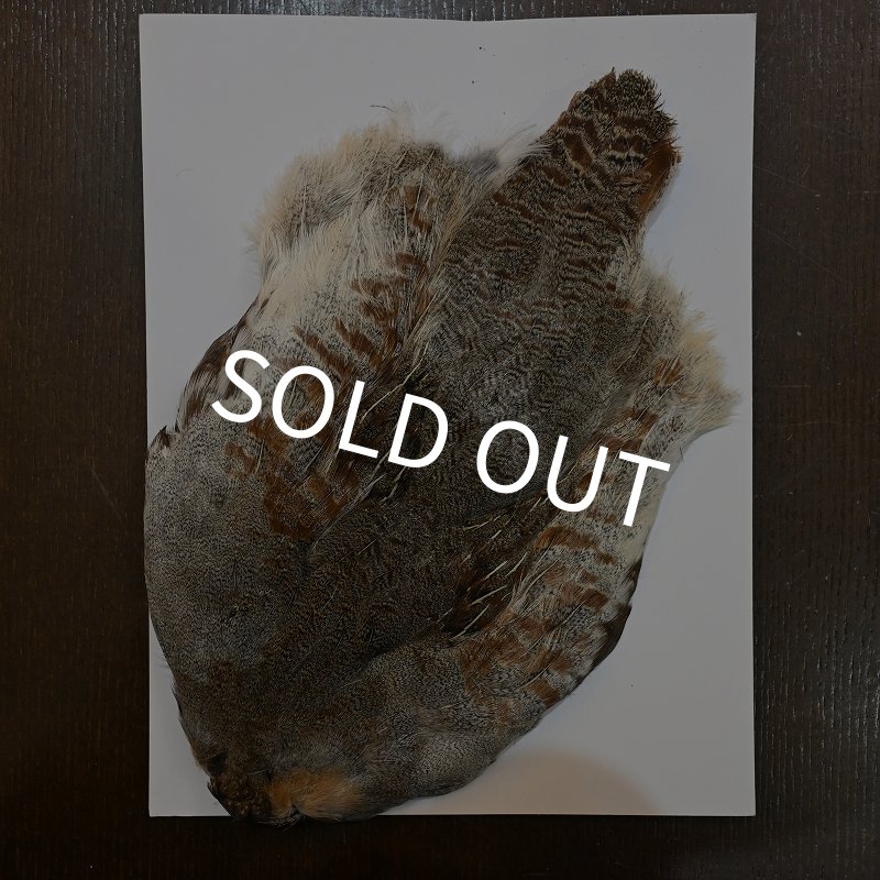 画像1: ハンガリアンパートリッジ コンプリート (1)