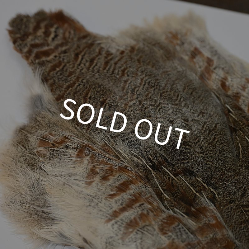 画像4: ハンガリアンパートリッジ コンプリート (4)