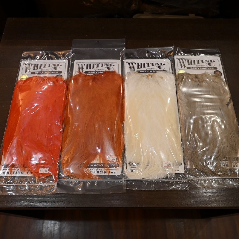 画像3: 【WHITING】 Spey Hackle Saddle BRONZE GRADE (3)