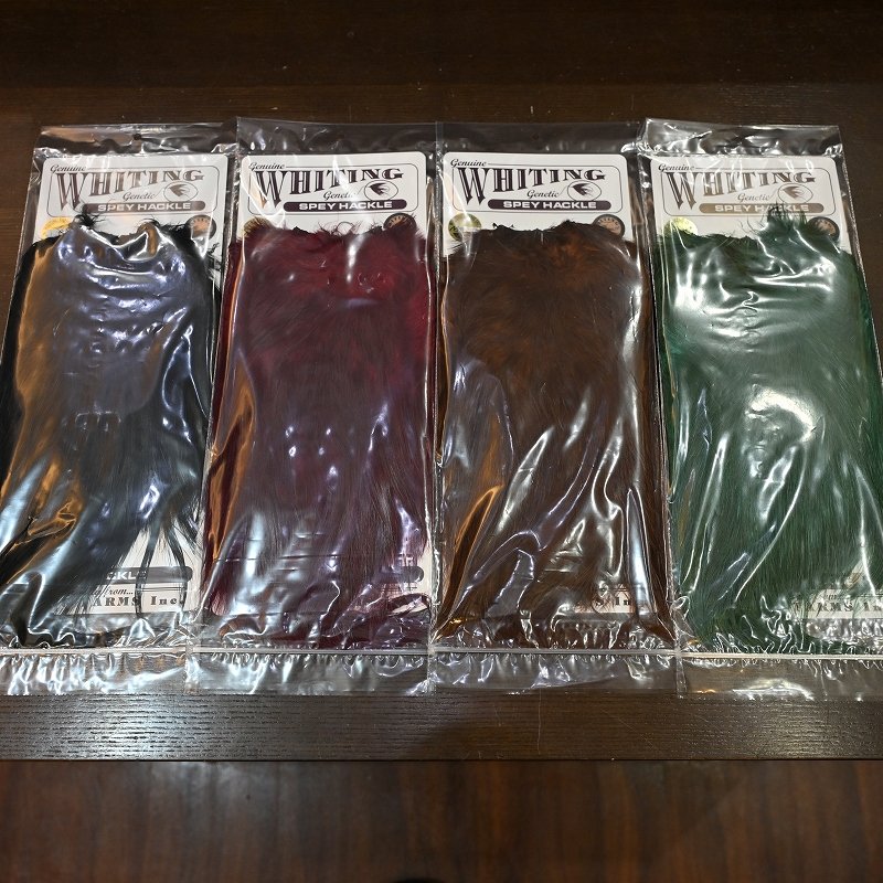 画像4: 【WHITING】 Spey Hackle Saddle BRONZE GRADE (4)