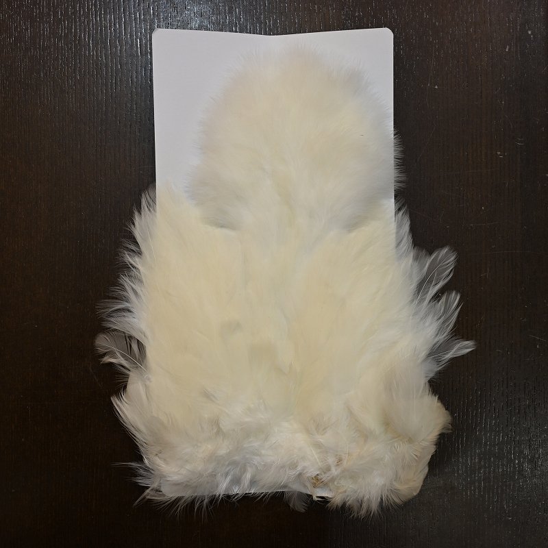 画像2: 【WHITING】Coq de Leon hen S/H Chickabou (2)