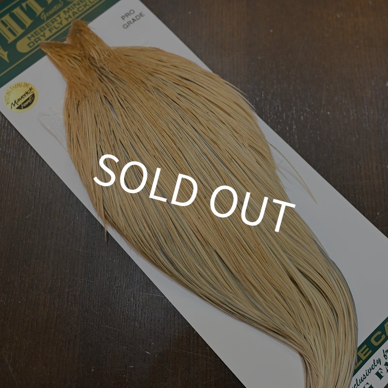 画像2: 【WHITING】Hebert ROOSTER CAPE Pro Grade - LT GINGER No.1 (2)