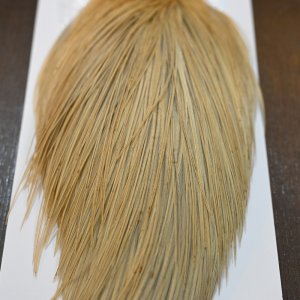 画像5: 【WHITING】Hebert ROOSTER CAPE Pro Grade - LT GINGER No.2