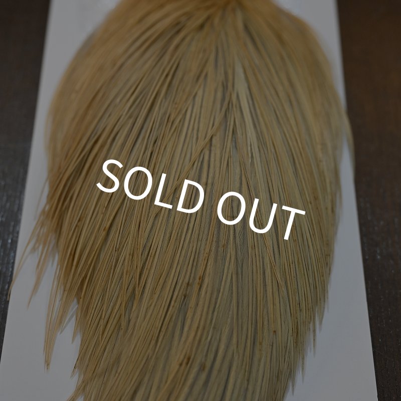 画像5: 【WHITING】Hebert ROOSTER CAPE Pro Grade - LT GINGER No.2 (5)