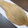 画像4: 【WHITING】Hebert ROOSTER CAPE Pro Grade - LT GINGER No.1 (4)