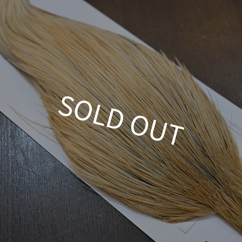 画像4: 【WHITING】Hebert ROOSTER CAPE Pro Grade - LT GINGER No.1 (4)