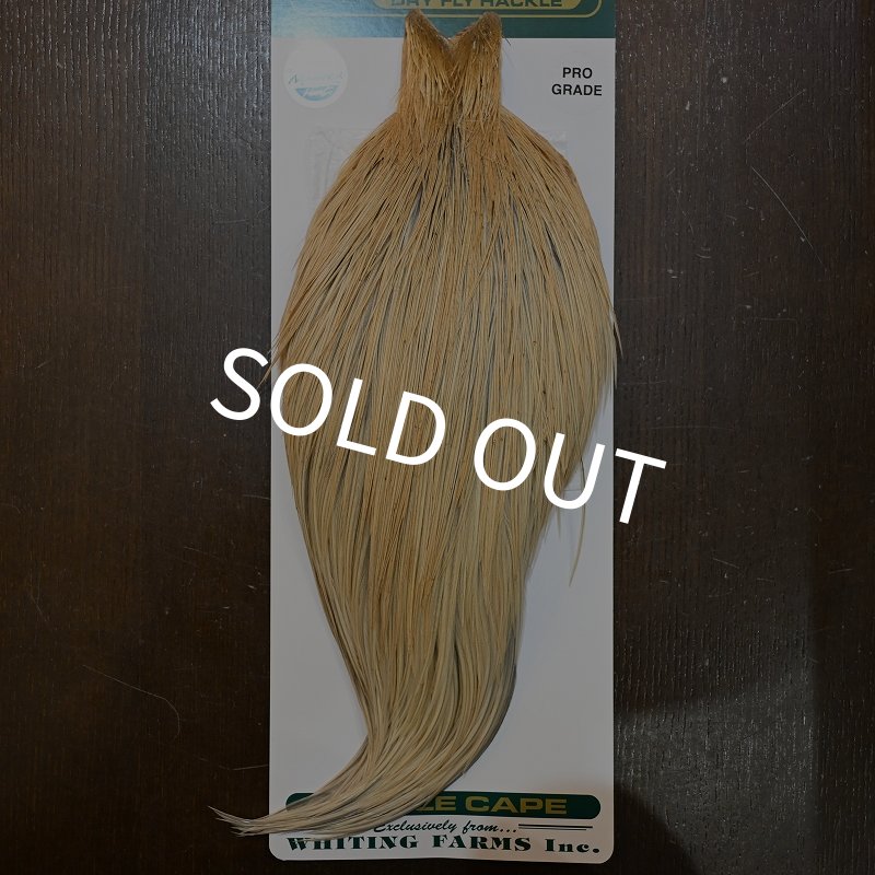 画像1: 【WHITING】Hebert ROOSTER CAPE Pro Grade - LT GINGER No.1 (1)