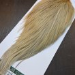 画像4: 【WHITING】Hebert ROOSTER CAPE Pro Grade - LT GINGER No.2 (4)