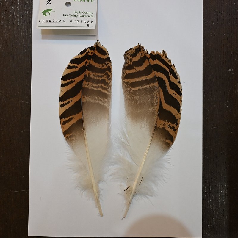 画像2: 【CANAL】 Florican Bustard Mサイズ (2)