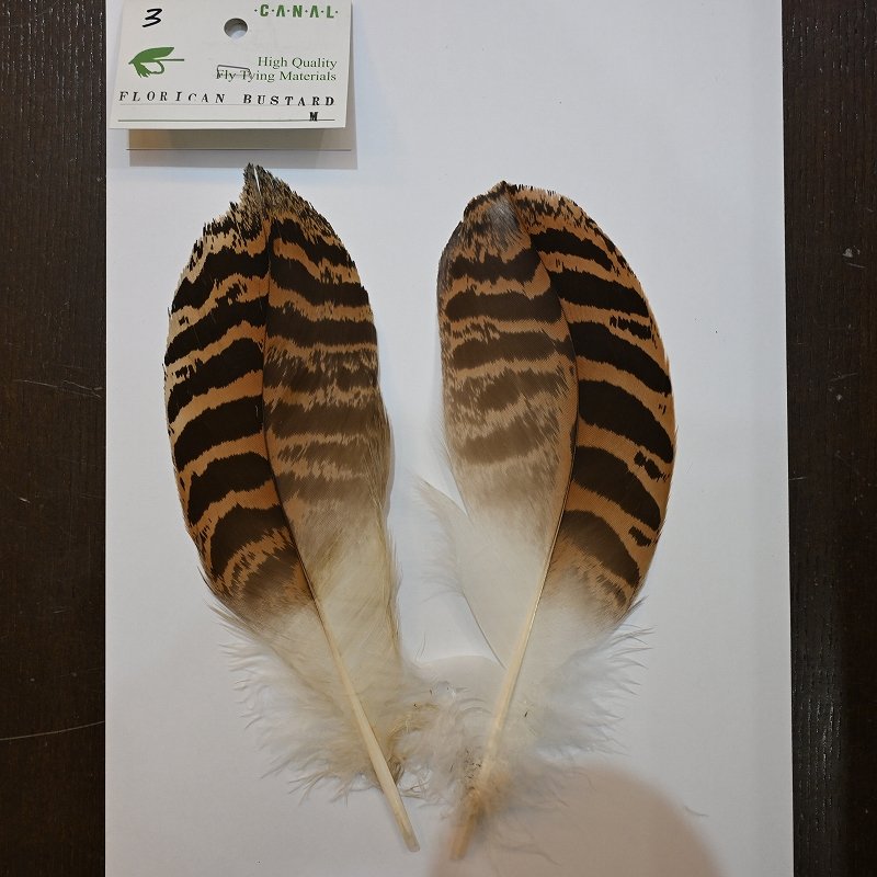 画像3: 【CANAL】 Florican Bustard Mサイズ (3)