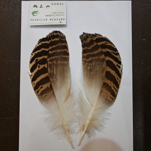 画像2: 【CANAL】 Florican Bustard Lサイズ(フロリカンバスタード)