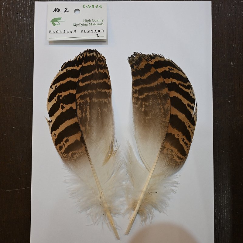 画像2: 【CANAL】 Florican Bustard Lサイズ(フロリカンバスタード) (2)