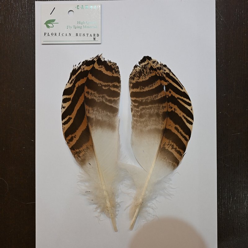 画像1: 【CANAL】 Florican Bustard Mサイズ (1)