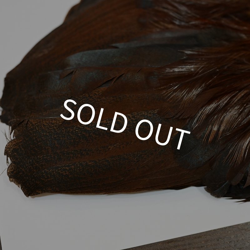 画像3: 【WHITING】 Coq de Leon Rooster Wing GOLD GRADE (3)