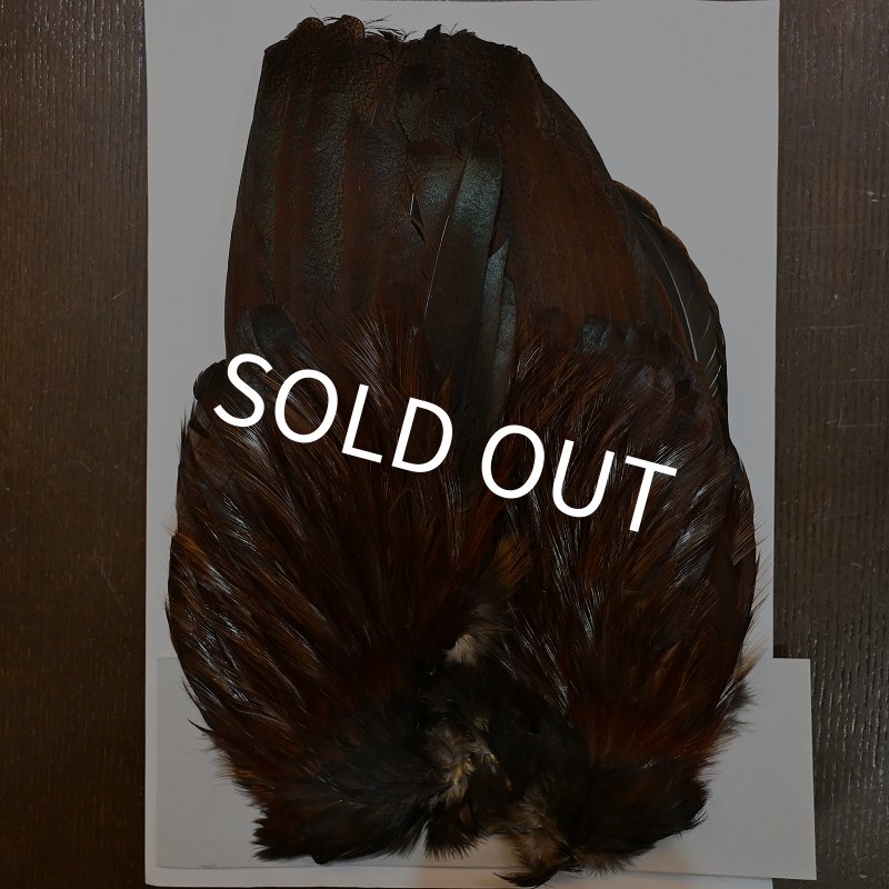 画像1: 【WHITING】 Coq de Leon Rooster Wing GOLD GRADE (1)