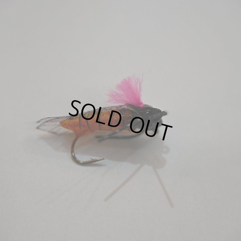 画像1: リアル ハルゼミ ドライフライ Ver.2 #6 (1)