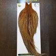 画像1: 【WHITING】Hebert ROOSTER CAPE Silver grade - BARRED DARK GINGER (1)