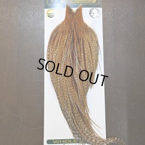 画像1: 【WHITING】Hebert ROOSTER CAPE Silver grade - BARRED DARK GINGER
