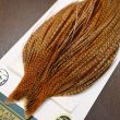 画像2: 【WHITING】Hebert ROOSTER CAPE Silver grade - BARRED DARK GINGER (2)